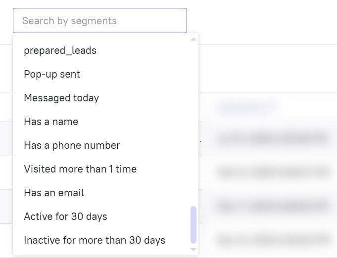 Pre-made segments in Dashly